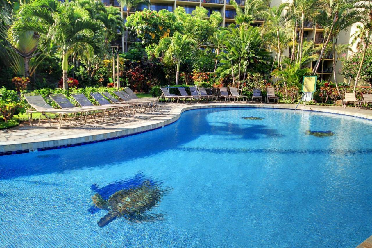Kaanapali Shores 706 エクステリア 写真